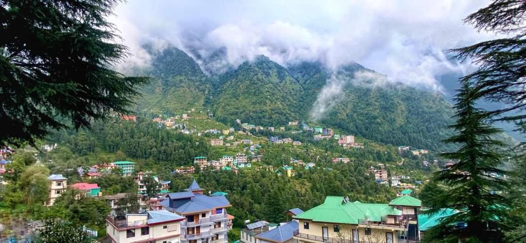 Oasis Guest House Bhagsu D'Shala Dharamshala Exterior photo