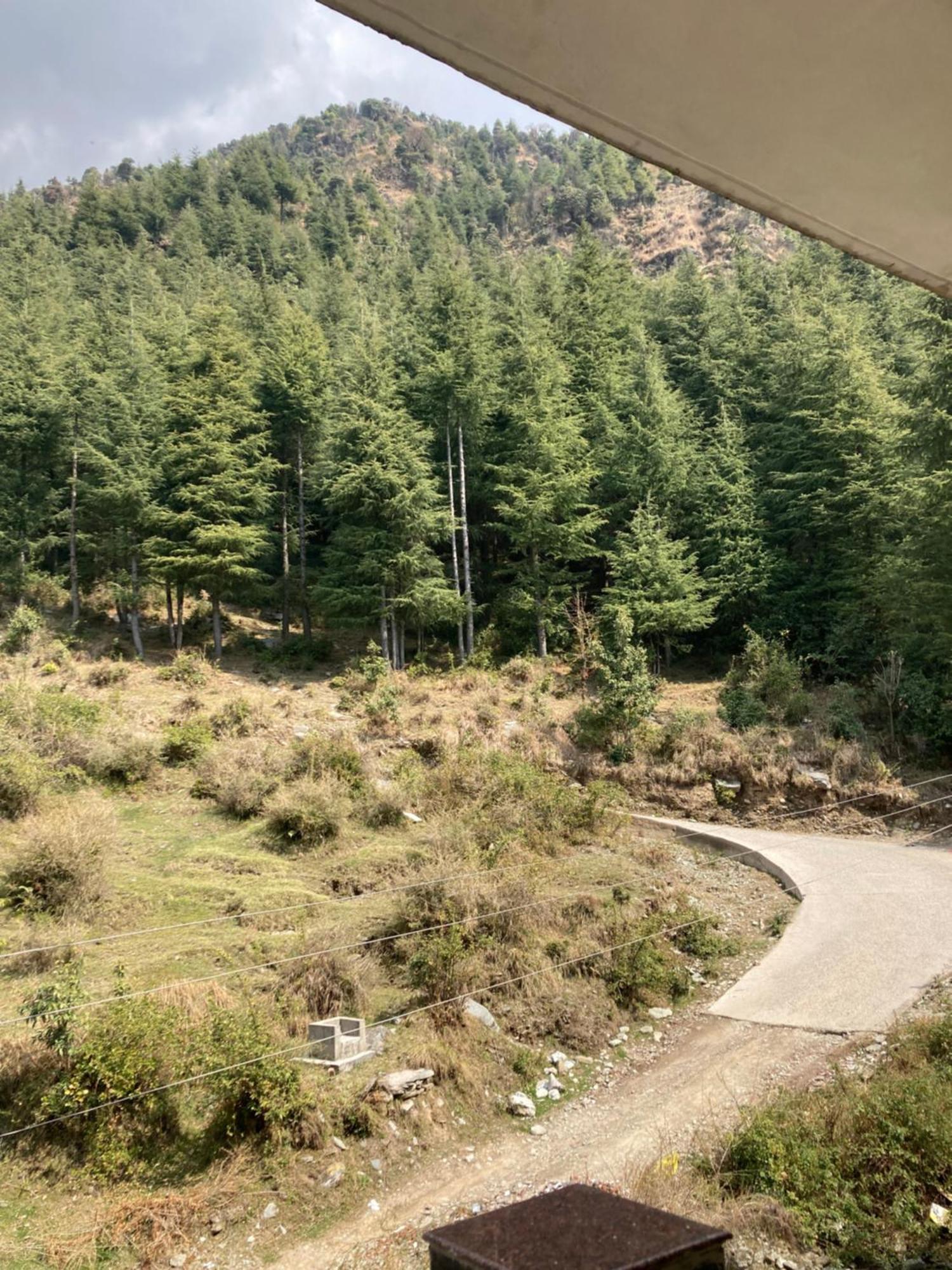 Oasis Guest House Bhagsu D'Shala Dharamshala Exterior photo